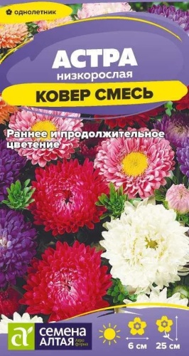 Семена Алтая астра Ковер Смесь низкорослая