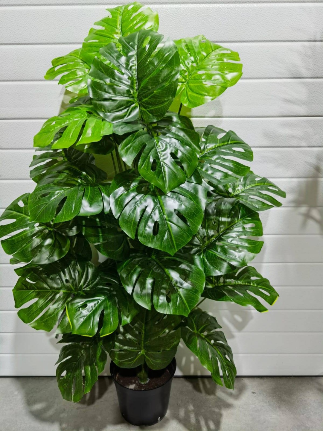 Фото 2
