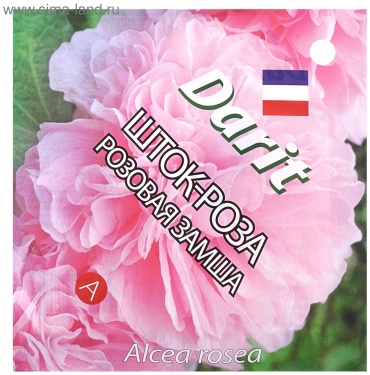 Darit роза Шток-роза розовая замша