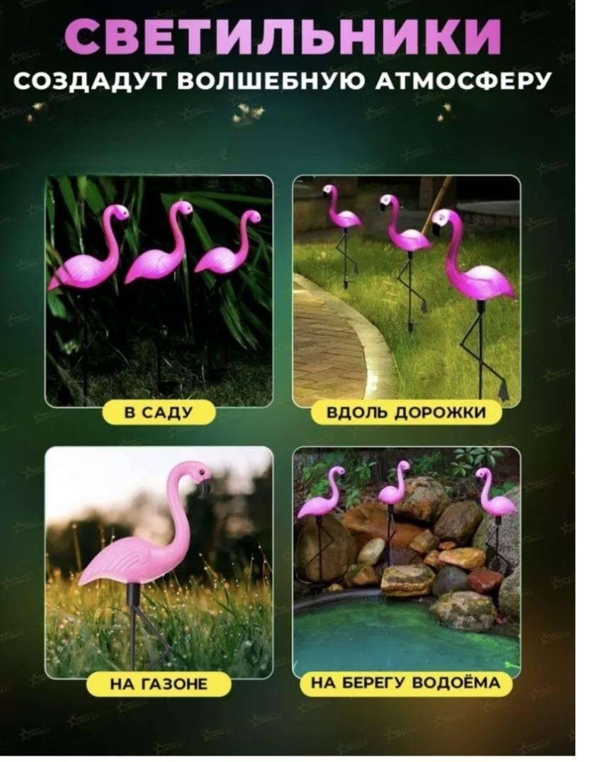 Фото 4