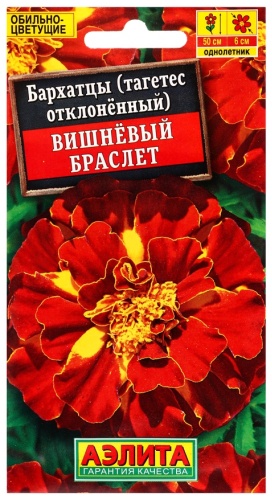 Аэлита бархатцы Вишневый браслет