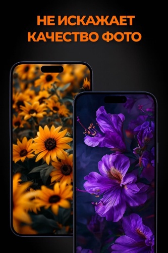 Фото 3
