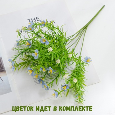 Фото 3