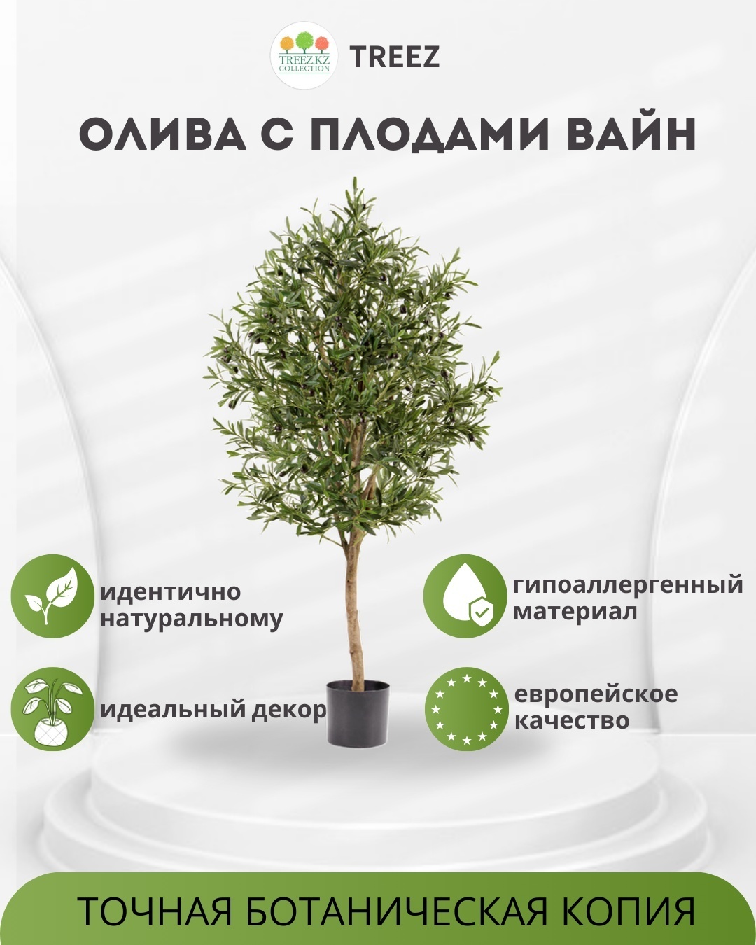 Дерево Treez оливковое дерево 140 см, 10.27805N