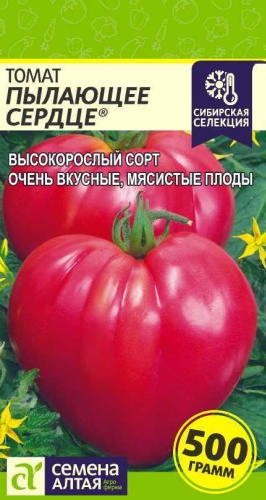 Семена Алтая помидор Пылающее Сердце