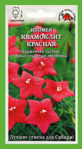 Золотая сотка Алтая ипомея перистая КВАМОКЛИТ КРАСНАЯ