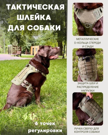 Шлейка для прогулки M хаки
