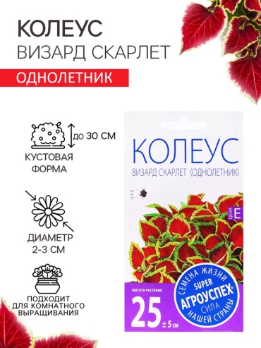 Агроуспех колеус «Визард Скарлет»