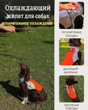 Охлаждающий жилет для собак оранжевый S