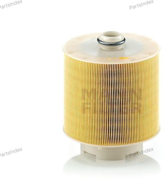 MANN FILTER Фильтр Воздушный C171371X