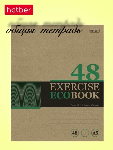 Общая тетрадь Hatber Экобук 48Т5В2, 48 л, А5, линейка, мягкая обложка, 1 шт