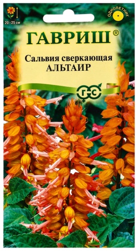 Гавриш сальвия Альтаир