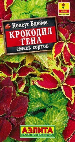 Аэлита колеус Колеус блюме Крокодил Гена смесь