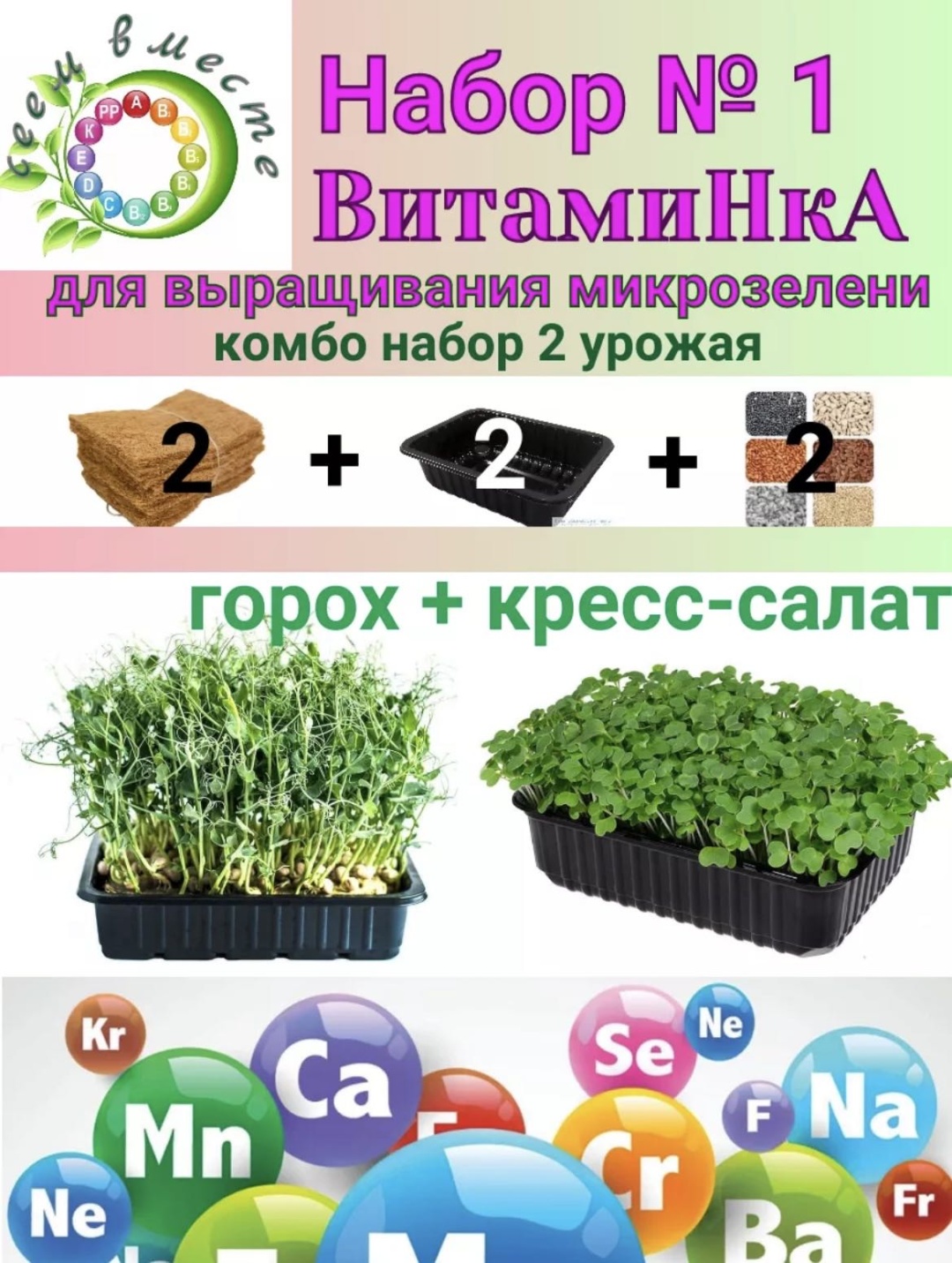 Сеем Вместе Набор микро зелени «ВитамиНкА 1»