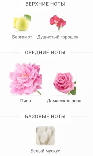 Фото 6