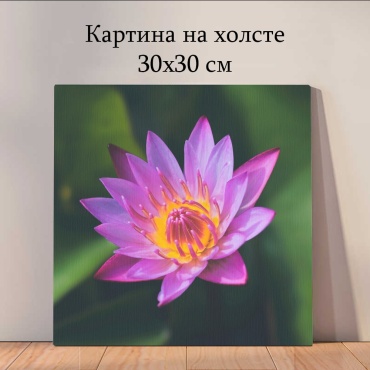 Quantum картина Растения и цветы 30x30 см