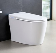 Унитаз-биде 830425528, керамика