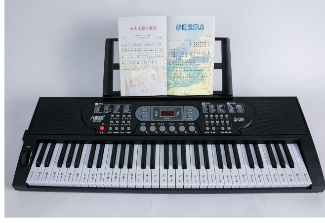 Синтезатор BD music BD 669 D