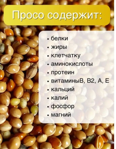 Фото 3