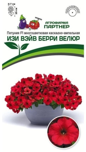 Партнер петуния ИЗИ ВЭЙВ БЕРРИ ВЕЛЮР
