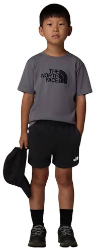 The North Face серый