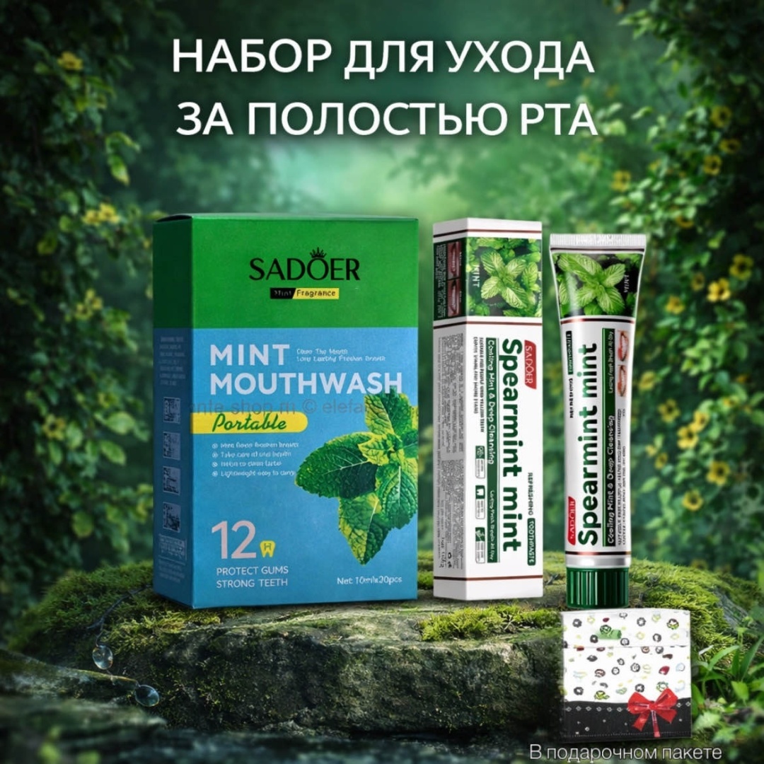Buzz Lady Mint набор для ухода за полостью рта унисекс