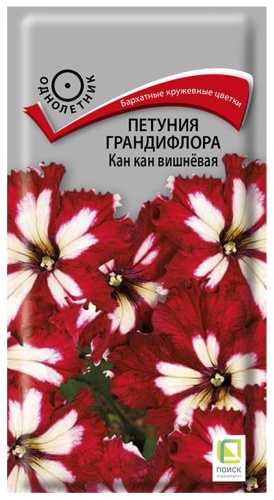 Поиск петуния Грандифлора Кан Кан Вишневая