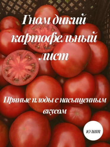 Mevsim томат Коллекционные семена "Гном дикий картофельный лист"