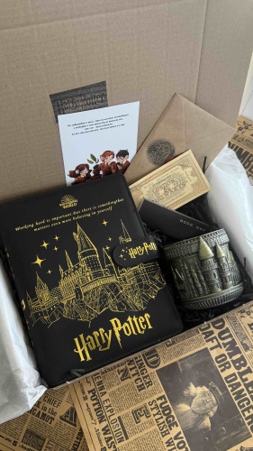 Harry Potter Harry Potter Тайны замка Хогвартс сувенирный набор