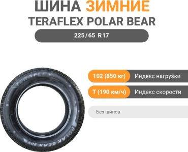 Teraflex POLAR BEAR 505 225/65 R17 102 T без шипов
