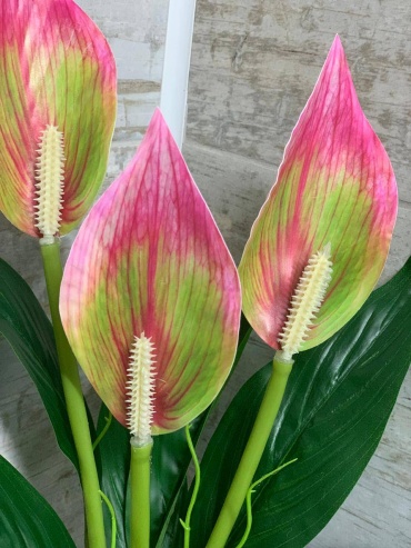 Фото 2