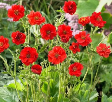 Фото 2