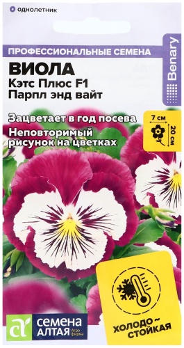 Семена Алтая виола Кэтс Плюс - парпл энд вайт