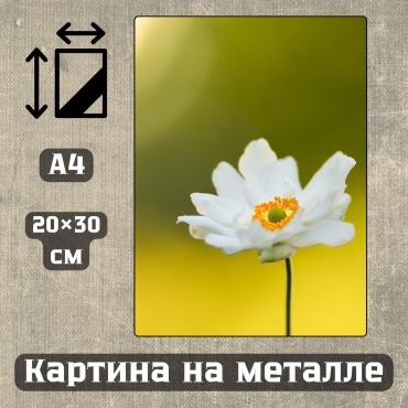 Sequoia VERS картина Картина на металле а4 Дыхание природы 20*30см 20x30 см