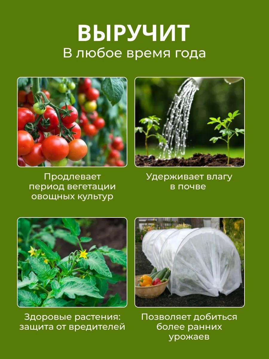 Фото 3
