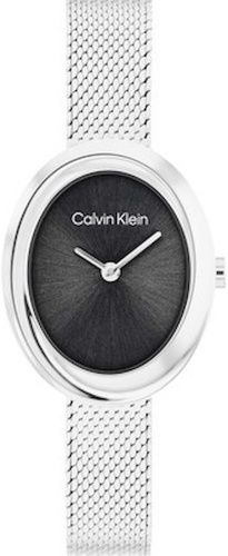Кварцевые Calvin Klein 25100151 сталь
