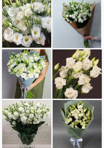 Фото 3