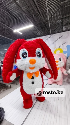 Карнавальный костюм Костюм Надувной костюм Кролик Rosto для аниматора  красный