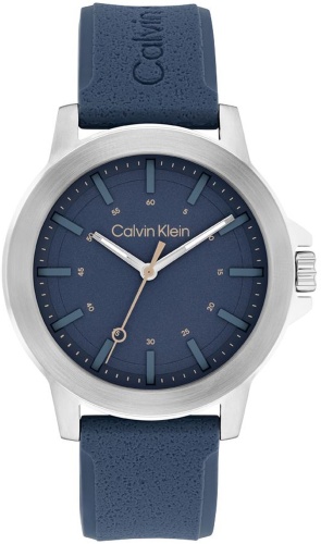 Кварцевые Calvin Klein 25200470 сталь
