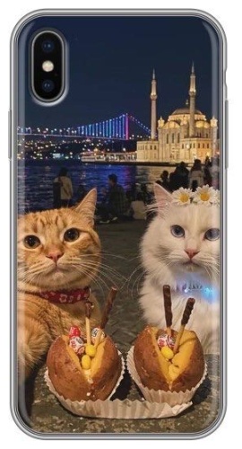 Чехол для Apple iPhone Xs рисунок