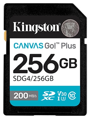 Карта памяти Kingston Secure Digital XC SDG4/256GB 256 Гб