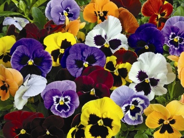 Фото 3