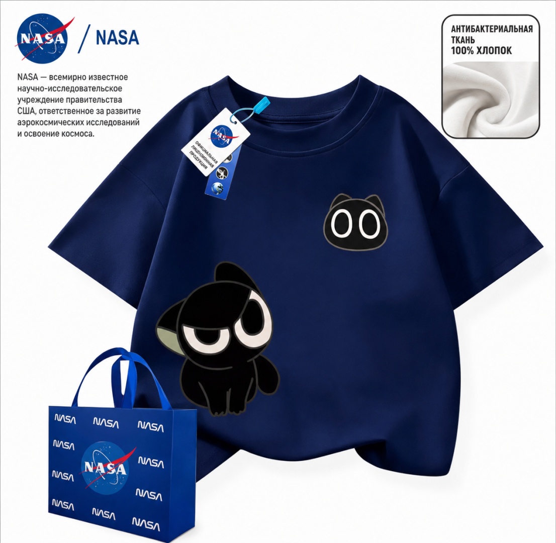Футболка Nasa синий