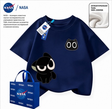 Футболка Nasa синий