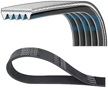 DAYCO ремень поликлиновый 5PK1650