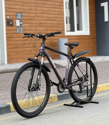 Велосипед IIEREC D400 2025 19 дюймов фиолетовый