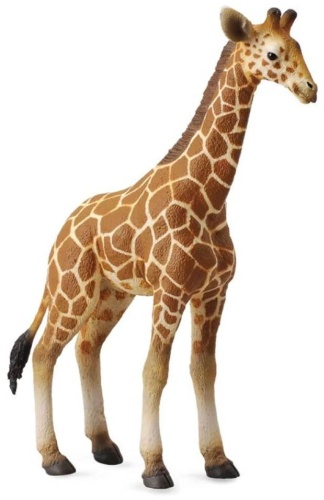 Collecta Жеребенок Сетчатого Жирафа 12.5 см 1 шт