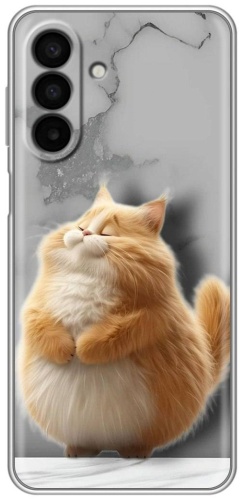 Чехол BAIKO для Samsung Galaxy S24+ рисунок
