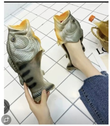 Шлепанцы мультиколор