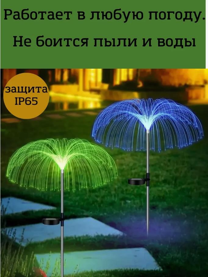 Фото 6